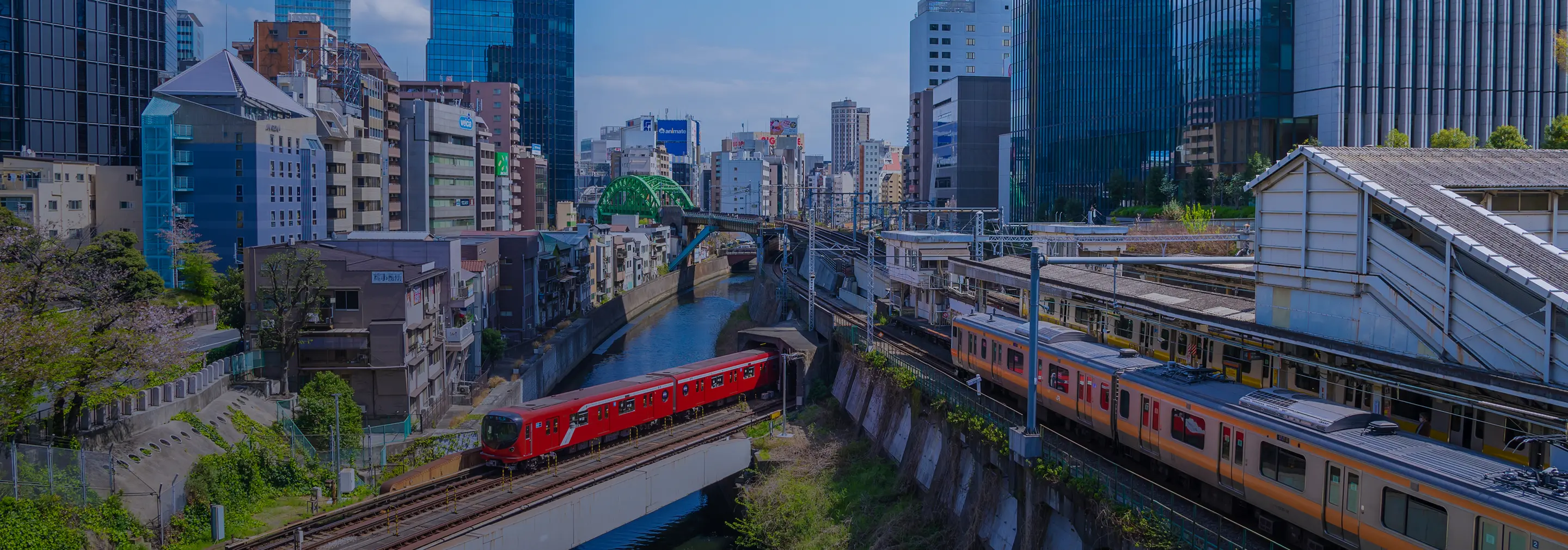 Company 会社情報